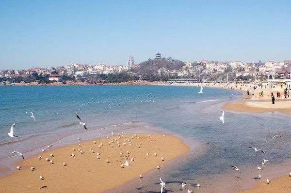 青岛海滨浴场?青岛海滨浴场附近的酒店?-第2张图片-柯迪百科 青岛海滨浴场?青岛海滨浴场附近的酒店?-第2张图片-柯迪百科