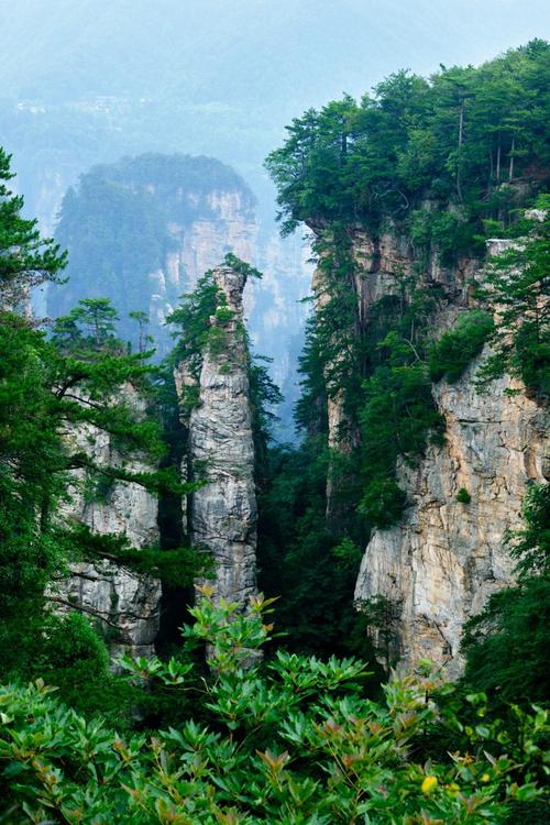 武陵源风景区?湘西武陵源风景区?-第3张图片-柯迪百科 武陵源风景区?湘西武陵源风景区?-第3张图片-柯迪百科