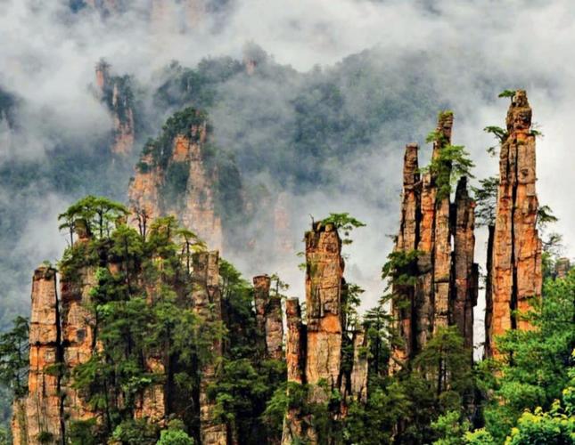 武陵源风景区?湘西武陵源风景区?-第5张图片-柯迪百科 武陵源风景区?湘西武陵源风景区?-第5张图片-柯迪百科