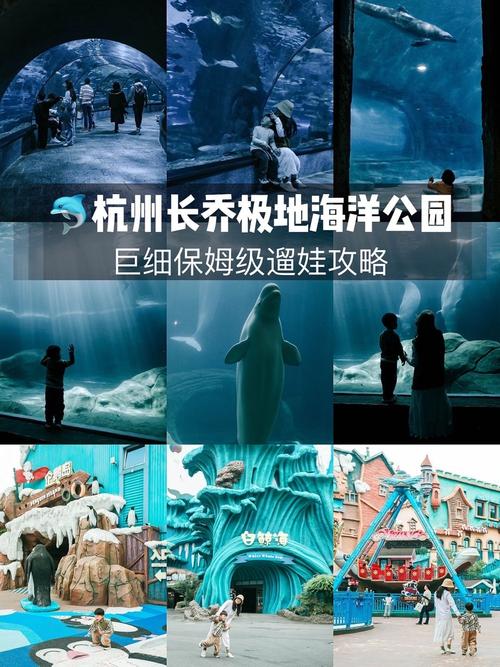 杭州海洋公园,杭州海洋公园的作文-第1张图片-柯迪百科 杭州海洋公园,杭州海洋公园的作文-第1张图片-柯迪百科