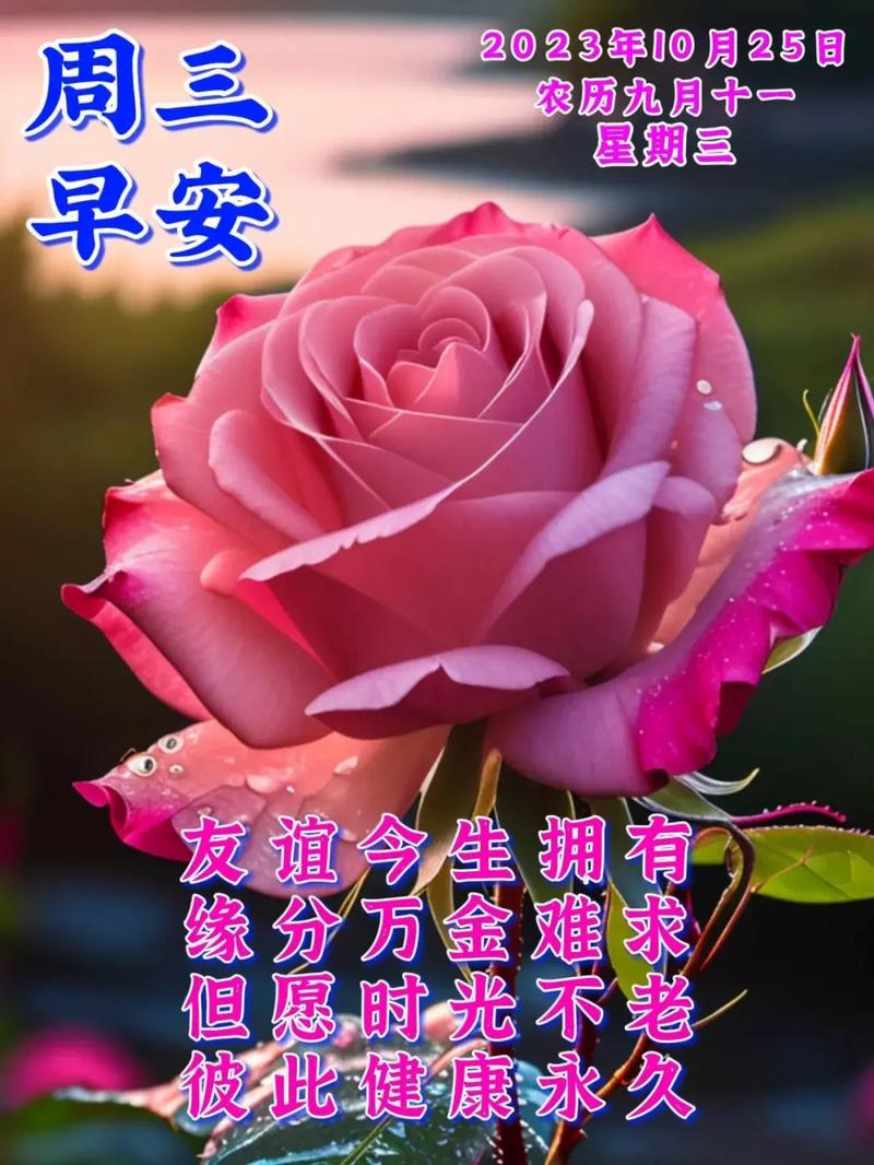 暖心天气预报准不准,如何修改微信群名称备注-第6张图片-柯迪百科 暖心天气预报准不准,如何修改微信群名称备注-第6张图片-柯迪百科