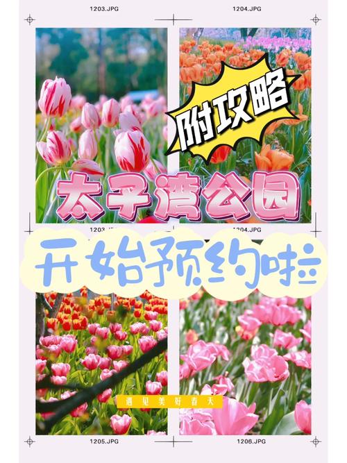 太子湾公园,太子湾公园门票多少钱-第2张图片-柯迪百科 太子湾公园,太子湾公园门票多少钱-第2张图片-柯迪百科