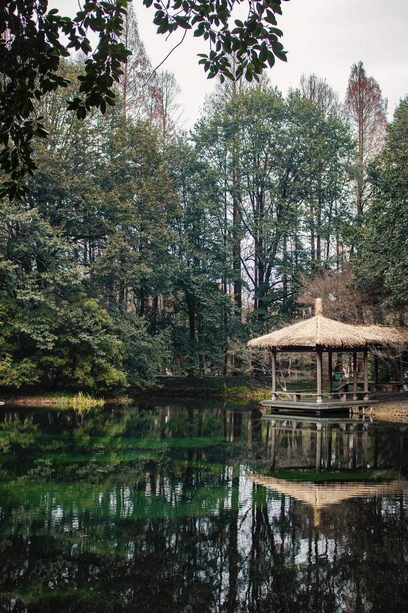 太子湾公园,太子湾公园门票多少钱-第4张图片-柯迪百科 太子湾公园,太子湾公园门票多少钱-第4张图片-柯迪百科
