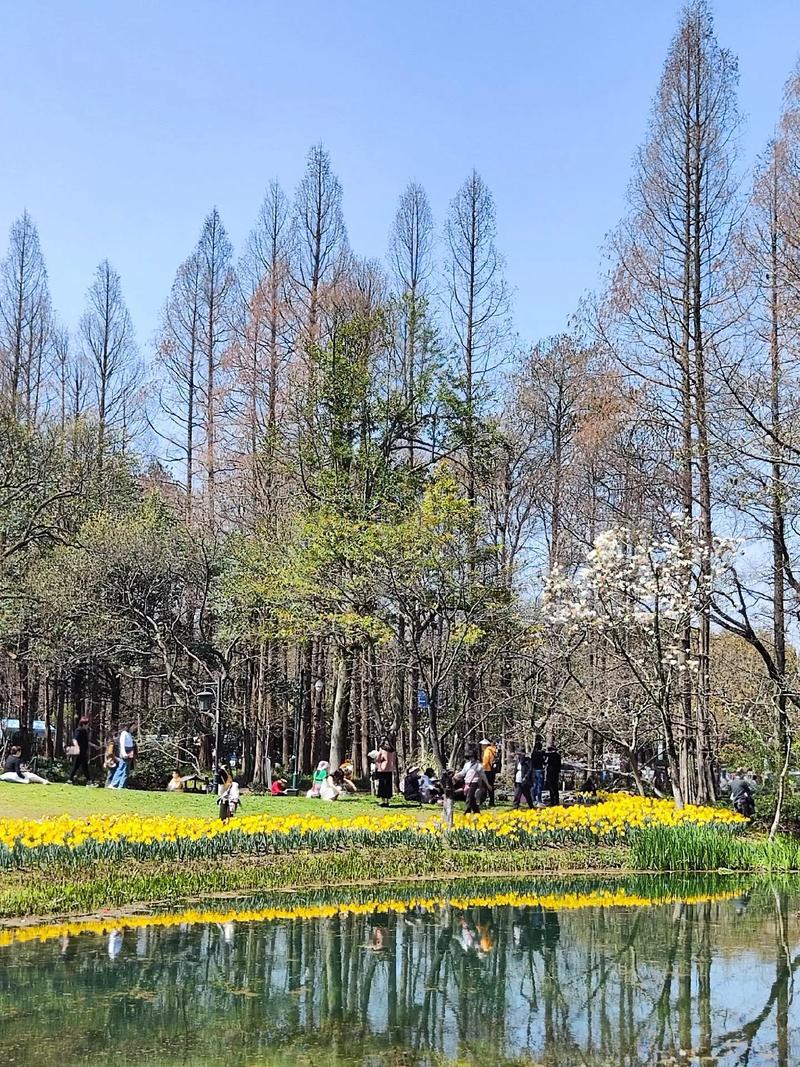 太子湾公园,太子湾公园门票多少钱-第5张图片-柯迪百科 太子湾公园,太子湾公园门票多少钱-第5张图片-柯迪百科