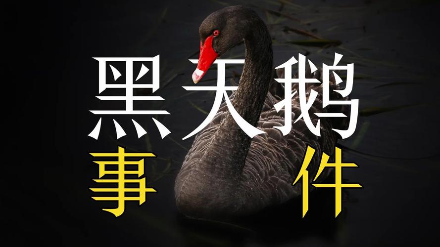 新冠疫情与黑天鹅疫情，疫情黑天鹅是什么意思