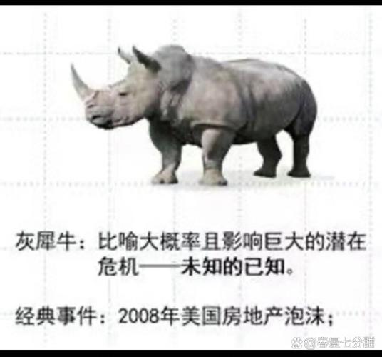 新冠疫情与黑天鹅疫情,疫情黑天鹅是什么意思-第2张图片-柯迪百科 新冠疫情与黑天鹅疫情,疫情黑天鹅是什么意思-第2张图片-柯迪百科
