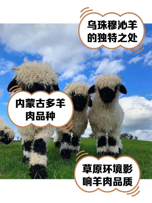 内蒙古疫情最新报道?内蒙古疫情最新动态?-第1张图片-柯迪百科 内蒙古疫情最新报道?内蒙古疫情最新动态?-第1张图片-柯迪百科
