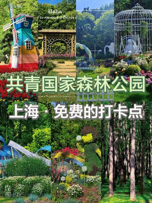 上海共青森林公园,上海共青森林公园地铁几号线?-第3张图片-柯迪百科 上海共青森林公园,上海共青森林公园地铁几号线?-第3张图片-柯迪百科