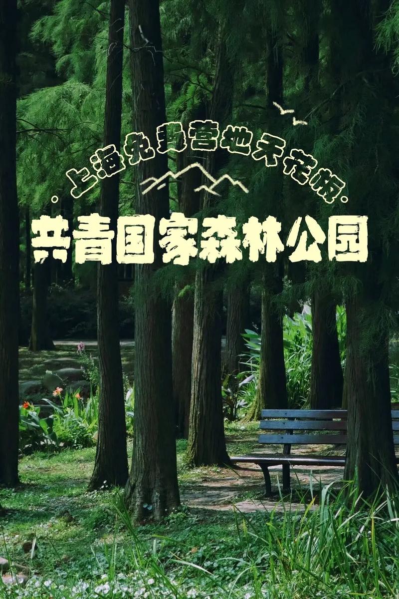 上海共青森林公园,上海共青森林公园地铁几号线?-第6张图片-柯迪百科 上海共青森林公园,上海共青森林公园地铁几号线?-第6张图片-柯迪百科