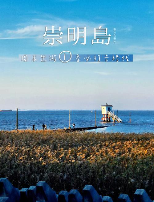 崇明近十五天天气,崇明15天天气预报怎么样?-第6张图片-柯迪百科 崇明近十五天天气,崇明15天天气预报怎么样?-第6张图片-柯迪百科