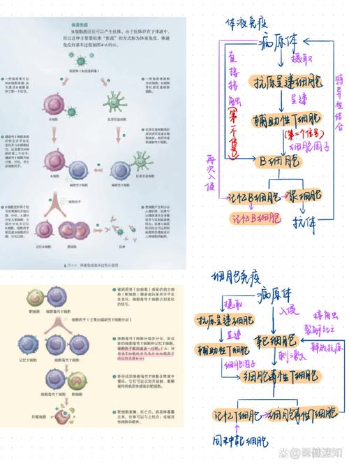 西班牙暴发疫情?西班牙疫情2021?-第4张图片-柯迪百科 西班牙暴发疫情?西班牙疫情2021?-第4张图片-柯迪百科