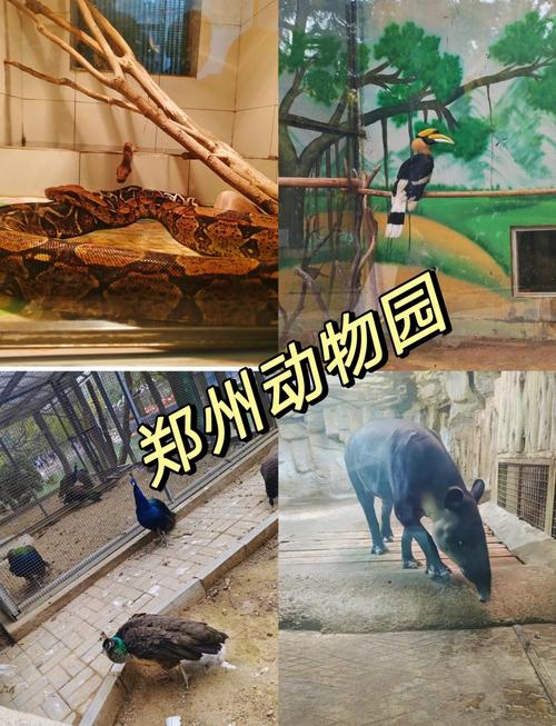 郑州动物园门票多少钱?郑州动物园门票多少钱一个人?-第2张图片-柯迪百科 郑州动物园门票多少钱?郑州动物园门票多少钱一个人?-第2张图片-柯迪百科
