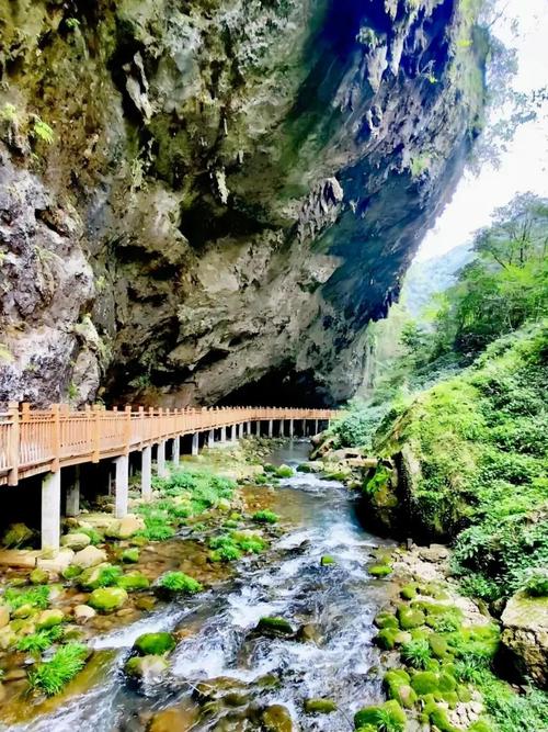 张家界旅游景点全景图,张家界旅游景点全景图片?-第5张图片-柯迪百科 张家界旅游景点全景图,张家界旅游景点全景图片?-第5张图片-柯迪百科