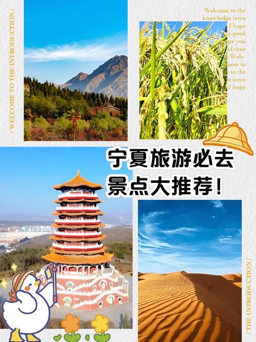 宁夏旅游攻略景点必去?宁夏旅游攻略景点必去水洞沟?-第3张图片-柯迪百科 宁夏旅游攻略景点必去?宁夏旅游攻略景点必去水洞沟?-第3张图片-柯迪百科