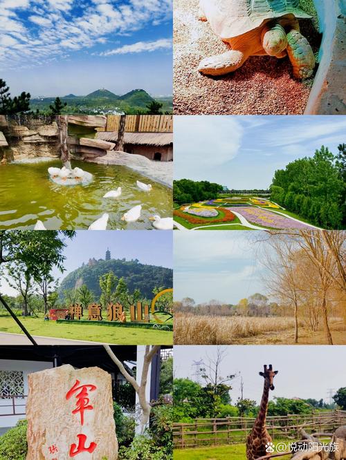 南通探险王国,南通探险王国地铁怎么坐-第6张图片-柯迪百科 南通探险王国,南通探险王国地铁怎么坐-第6张图片-柯迪百科