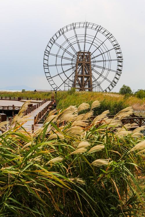 太湖湿地公园？苏州太湖湿地公园？-第2张图片-柯迪百科