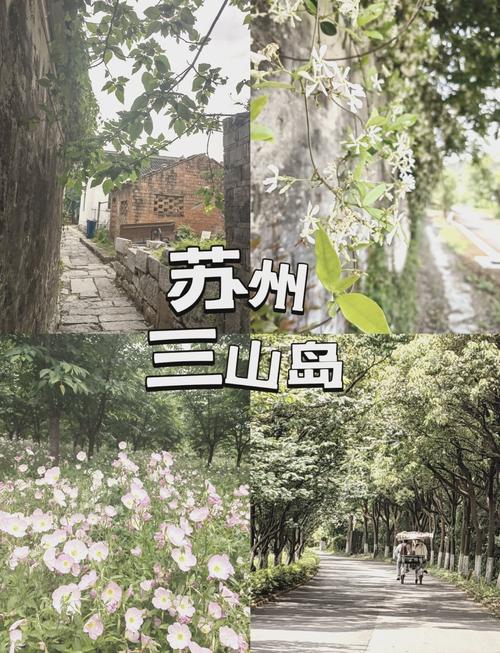 太湖三山岛?太湖三山岛旅游攻略?-第2张图片-柯迪百科 太湖三山岛?太湖三山岛旅游攻略?-第2张图片-柯迪百科