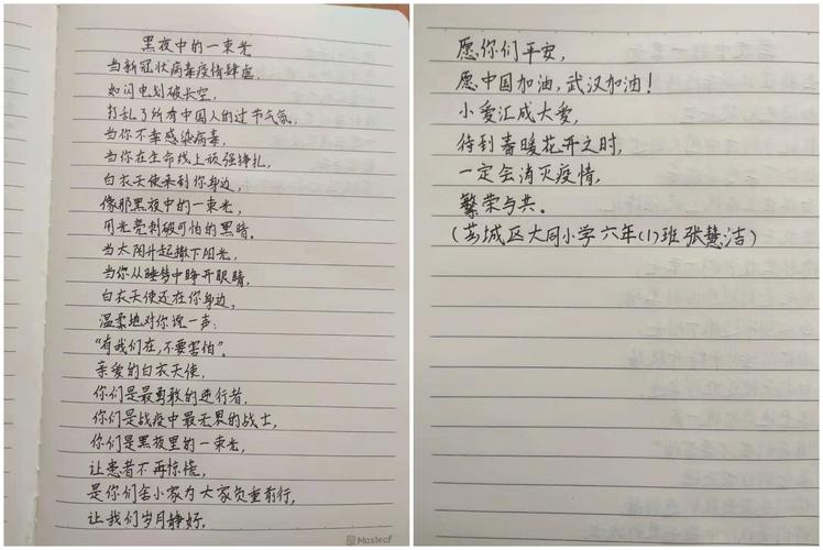 疫情中国同各国抗击疫情,疫情中国同各国抗击疫情不同-第3张图片-柯迪百科 疫情中国同各国抗击疫情,疫情中国同各国抗击疫情不同-第3张图片-柯迪百科