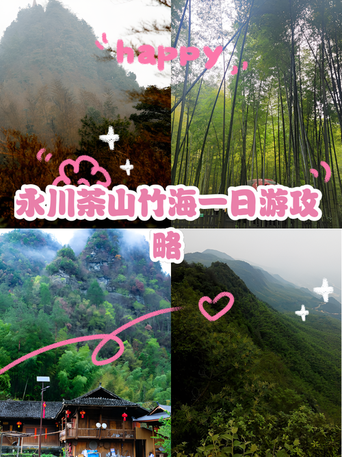 永川茶山竹海，永川茶山竹海要门票吗-第3张图片-柯迪百科