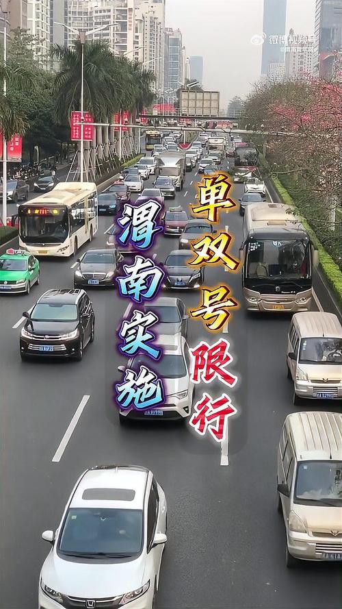 渭南市限号查询今天?2025年1月限号?-第8张图片-柯迪百科 渭南市限号查询今天?2025年1月限号?-第8张图片-柯迪百科