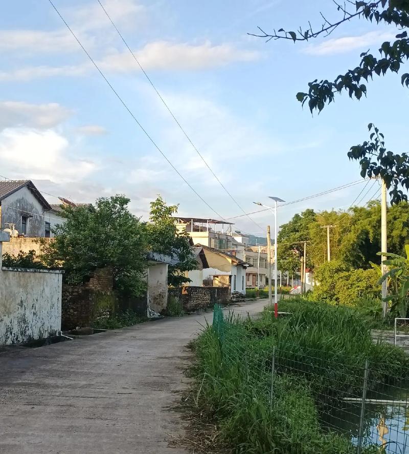 连平未来30天天气？连平未来30天天气预报？