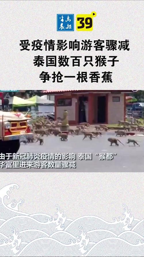 曼谷登革热疫情？曼谷登革热疫情最新？-第2张图片-柯迪百科