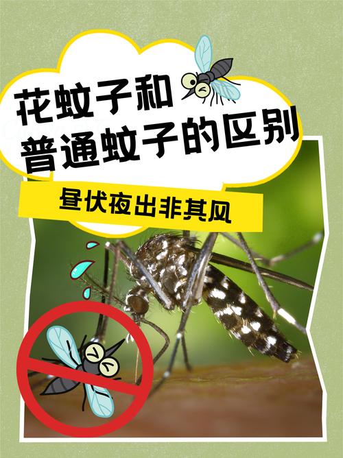 曼谷登革热疫情？曼谷登革热疫情最新？-第6张图片-柯迪百科