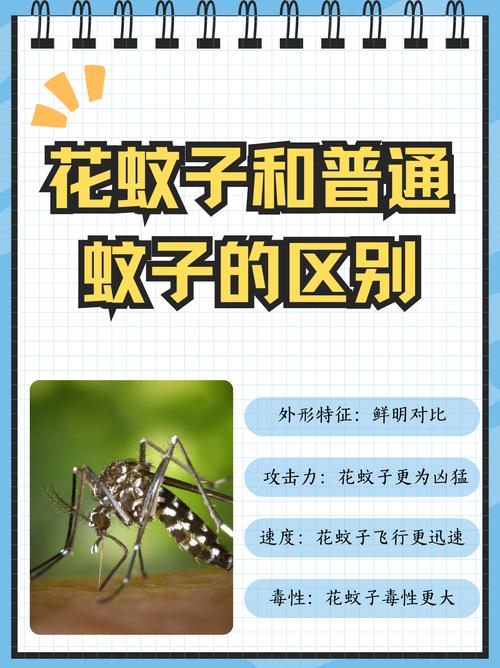 曼谷登革热疫情？曼谷登革热疫情最新？-第7张图片-柯迪百科