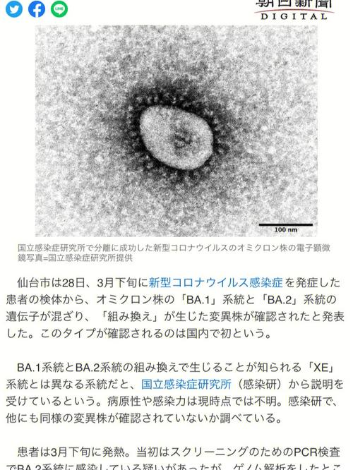 广东疫情最新情况疫情,广东疫情最新情况表-第5张图片-柯迪百科 广东疫情最新情况疫情,广东疫情最新情况表-第5张图片-柯迪百科
