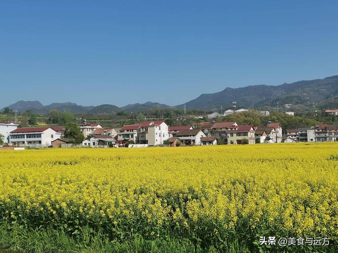 勉县杨家山天气预报,勉县杨家山天气预报15天?-第1张图片-柯迪百科 勉县杨家山天气预报,勉县杨家山天气预报15天?-第1张图片-柯迪百科