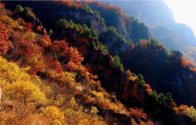 喇叭沟门原始森林，喇叭沟门原始森林感受？-第1张图片-柯迪百科