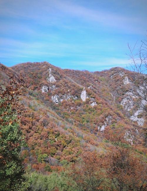 喇叭沟门原始森林，喇叭沟门原始森林感受？-第2张图片-柯迪百科