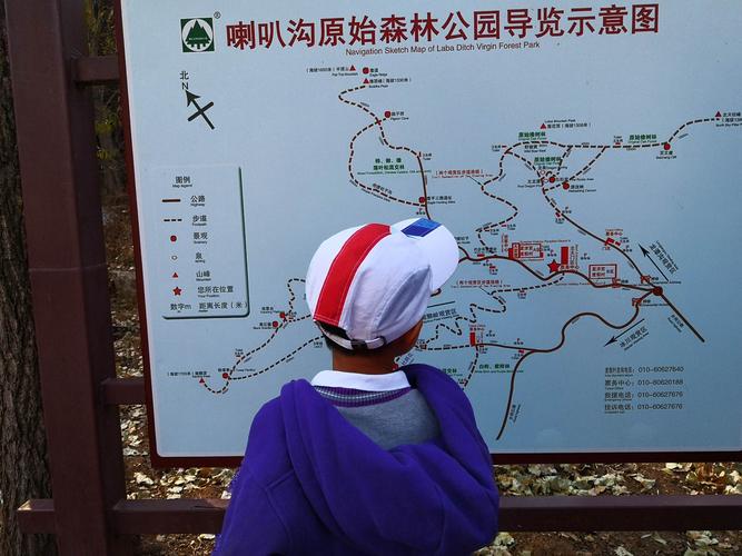 喇叭沟门原始森林，喇叭沟门原始森林感受？-第3张图片-柯迪百科