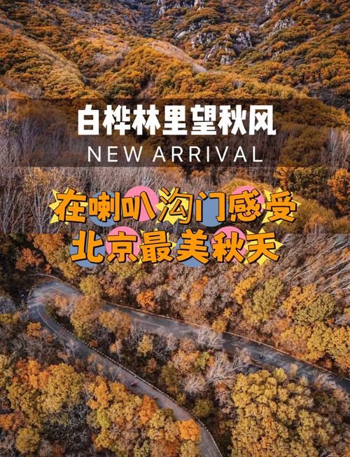 喇叭沟门原始森林，喇叭沟门原始森林感受？-第4张图片-柯迪百科
