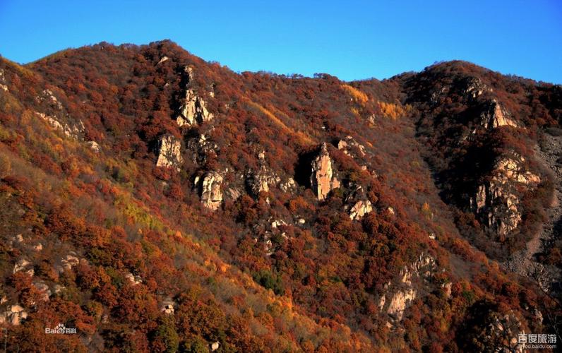 喇叭沟门原始森林，喇叭沟门原始森林感受？-第5张图片-柯迪百科