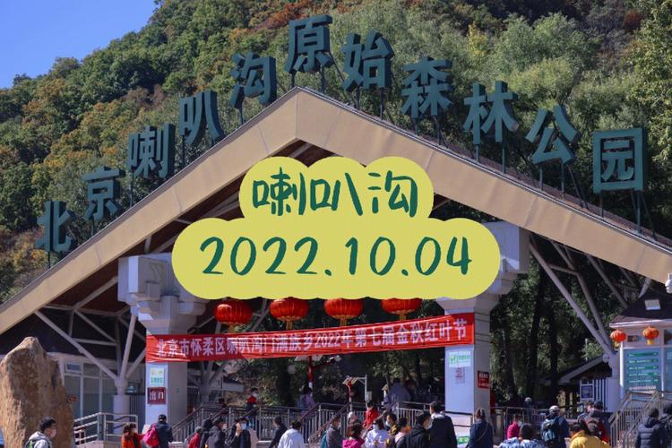 喇叭沟门原始森林，喇叭沟门原始森林感受？-第6张图片-柯迪百科