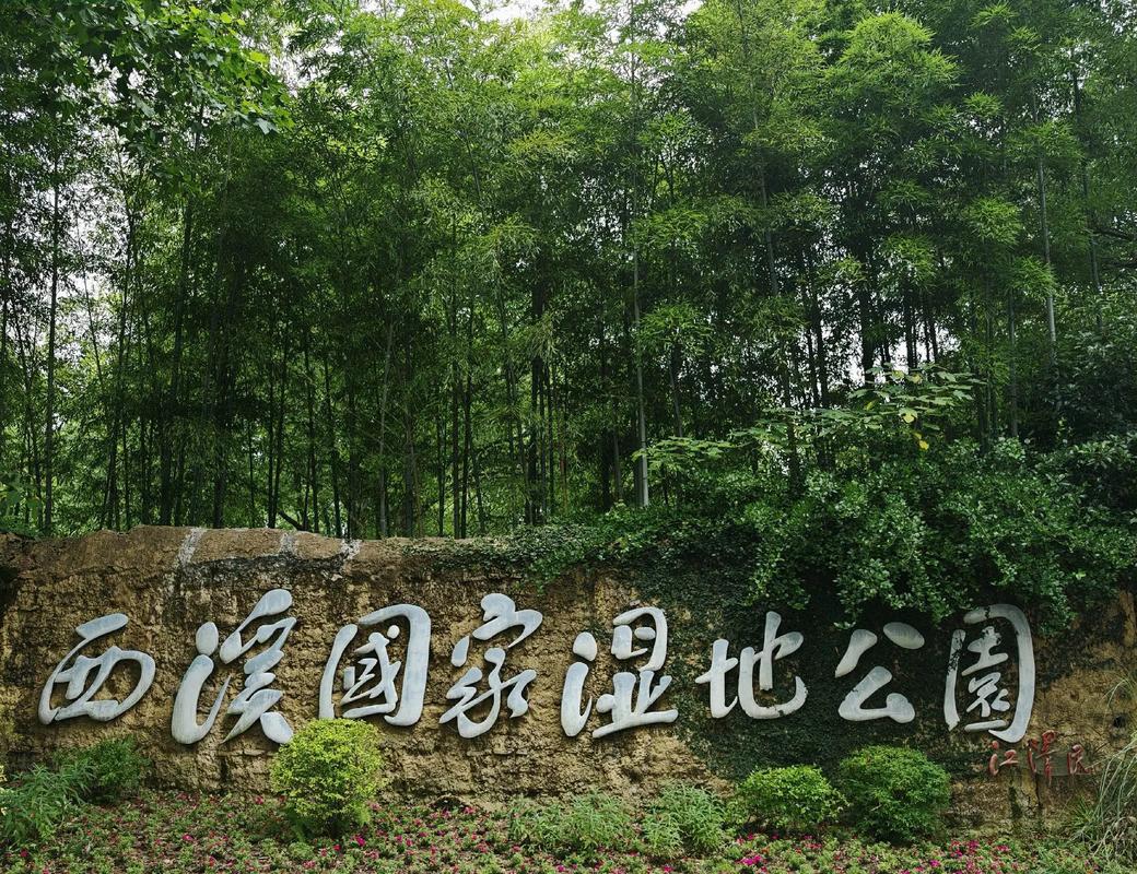 杭州西溪湿地,杭州西溪湿地免门票2025-第3张图片-柯迪百科 杭州西溪湿地,杭州西溪湿地免门票2025-第3张图片-柯迪百科
