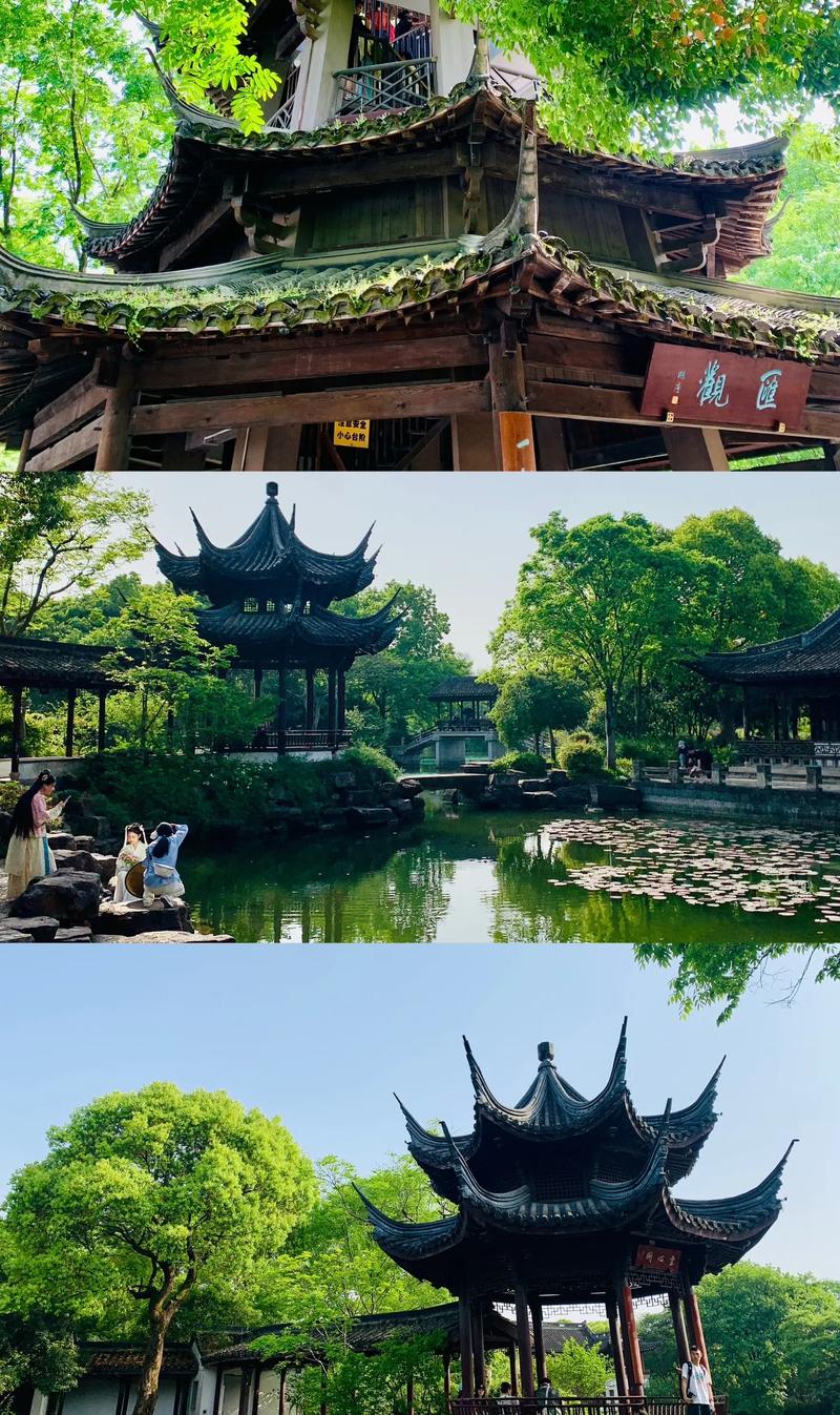 杭州西溪湿地,杭州西溪湿地免门票2025-第5张图片-柯迪百科 杭州西溪湿地,杭州西溪湿地免门票2025-第5张图片-柯迪百科