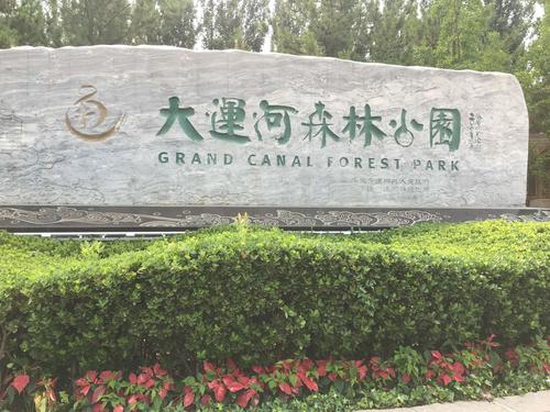 大运河森林公园，大运河森林公园哪个门进比较好？-第2张图片-柯迪百科