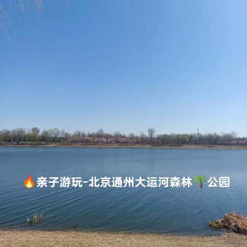 大运河森林公园，大运河森林公园哪个门进比较好？-第4张图片-柯迪百科