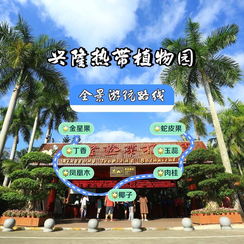 兴隆热带植物园，兴隆热带植物园游玩攻略？-第2张图片-柯迪百科