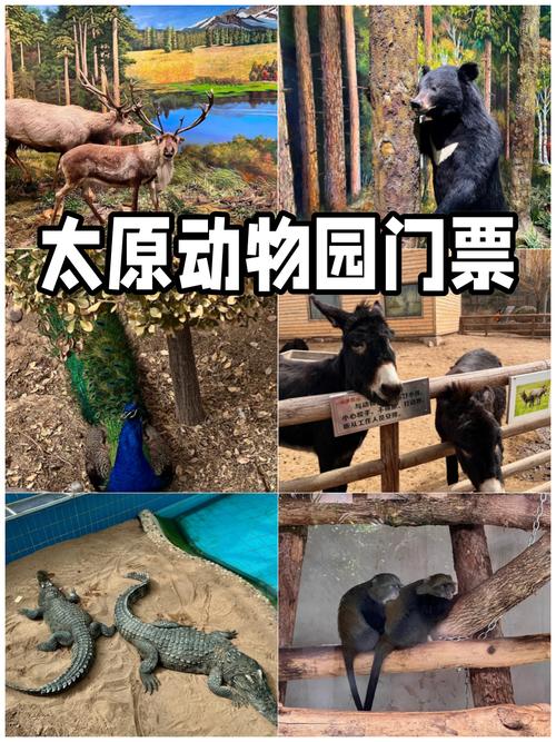 太原动物园,太原动物园地图游览图-第6张图片-柯迪百科 太原动物园,太原动物园地图游览图-第6张图片-柯迪百科