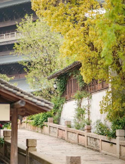 上海周边自驾游？上海周边自驾游一日游好去处？-第7张图片-柯迪百科