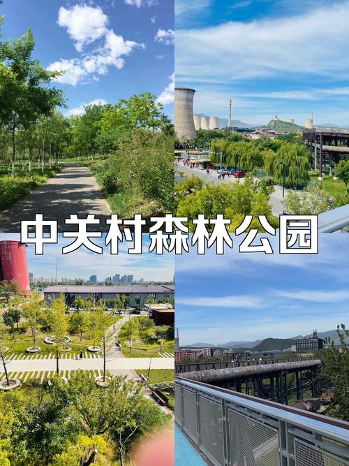 北京森林公园,北京森林公园门票多少钱-第2张图片-柯迪百科 北京森林公园,北京森林公园门票多少钱-第2张图片-柯迪百科