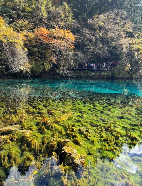 九寨沟旅游攻略天气?九寨沟风景区天气预报30天查询?-第6张图片-柯迪百科 九寨沟旅游攻略天气?九寨沟风景区天气预报30天查询?-第6张图片-柯迪百科