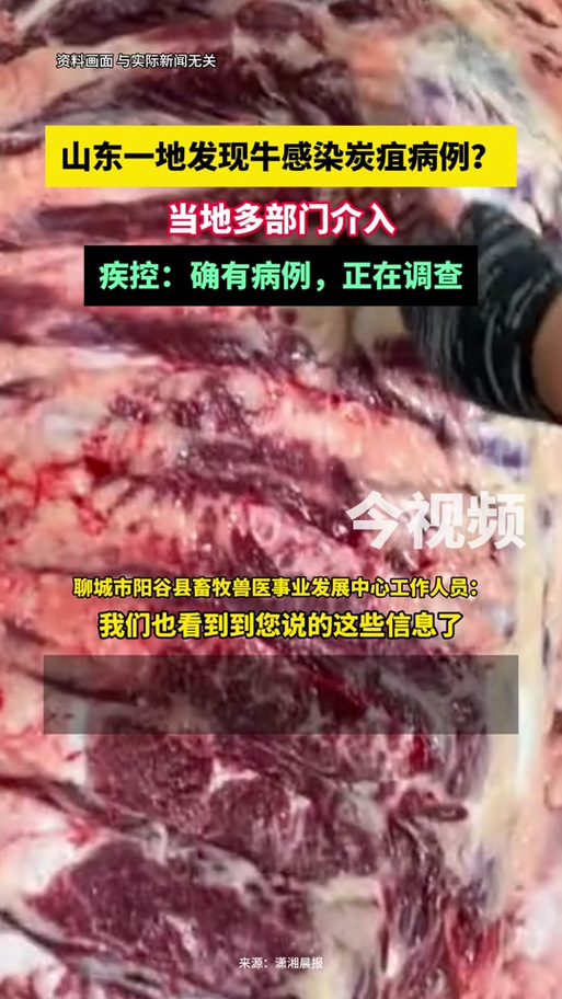 羊炭疽疫情是什么?羊炭疽疫情是什么症状?-第5张图片-柯迪百科 羊炭疽疫情是什么?羊炭疽疫情是什么症状?-第5张图片-柯迪百科