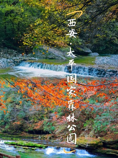 秦岭国家植物园，秦岭国家植物园建设公司？-第2张图片-柯迪百科