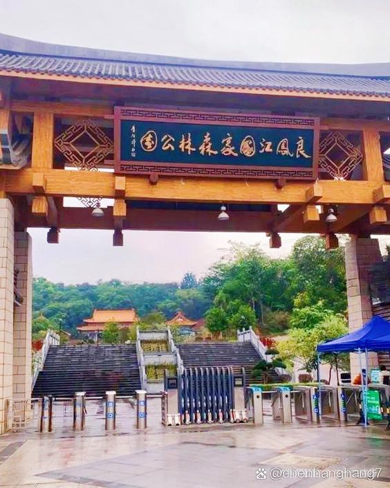 良凤江国家森林公园？良凤江国家森林公园门票多少？-第2张图片-柯迪百科