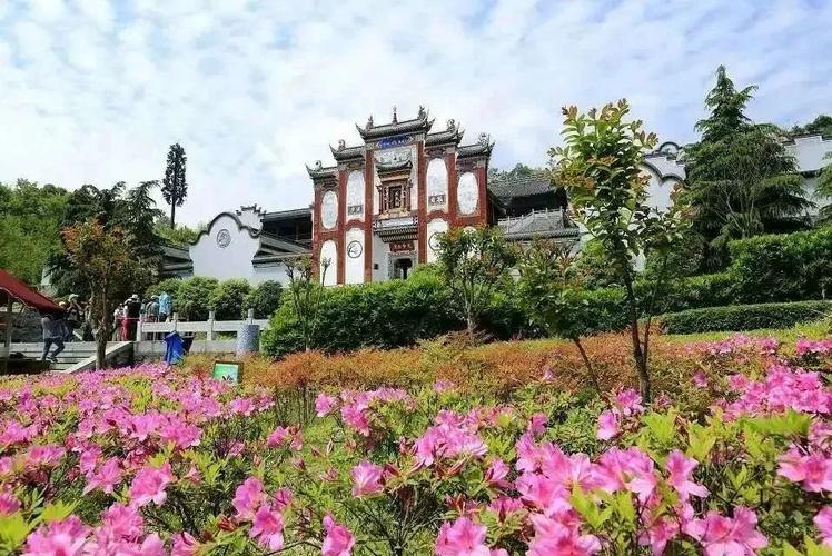 宜昌旅游年卡，宜昌旅游年卡使用范围？-第5张图片-柯迪百科