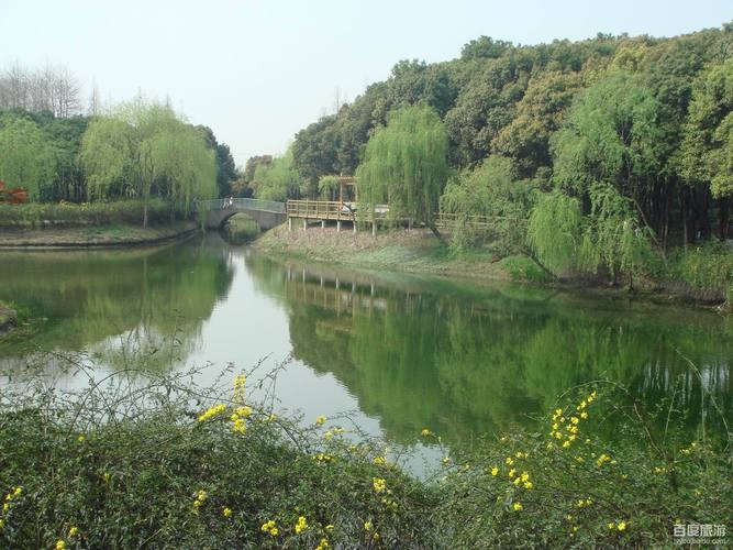 闵行体育公园，闵行体育公园开放时间？-第7张图片-柯迪百科
